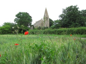 Poppies and churches